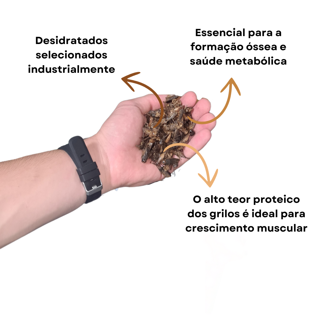 Grilos Desidratados - PROTEIN LINE