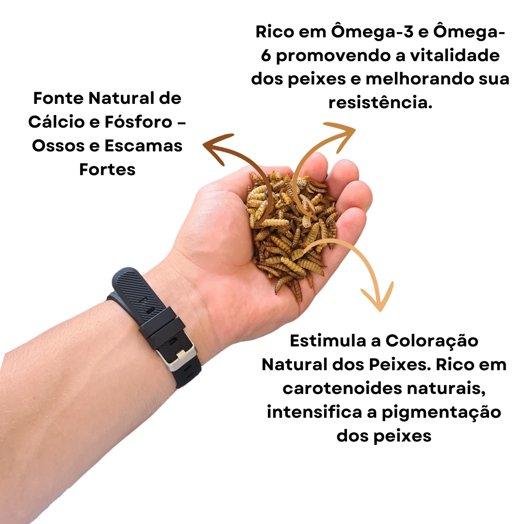 (BLACK) BSF Desidratados - PROTEIN LINE (Black Soldiers fly)