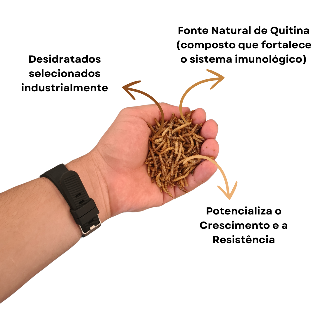 Tenébrios Desidratados - PROTEIN LINE