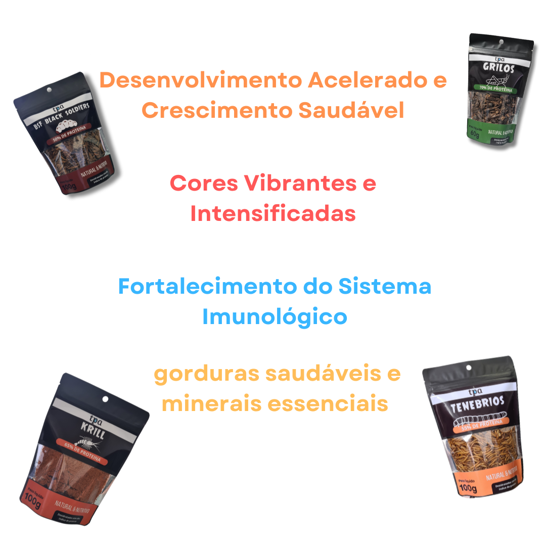 KIT Jumbão PROTEIN LINE🔥