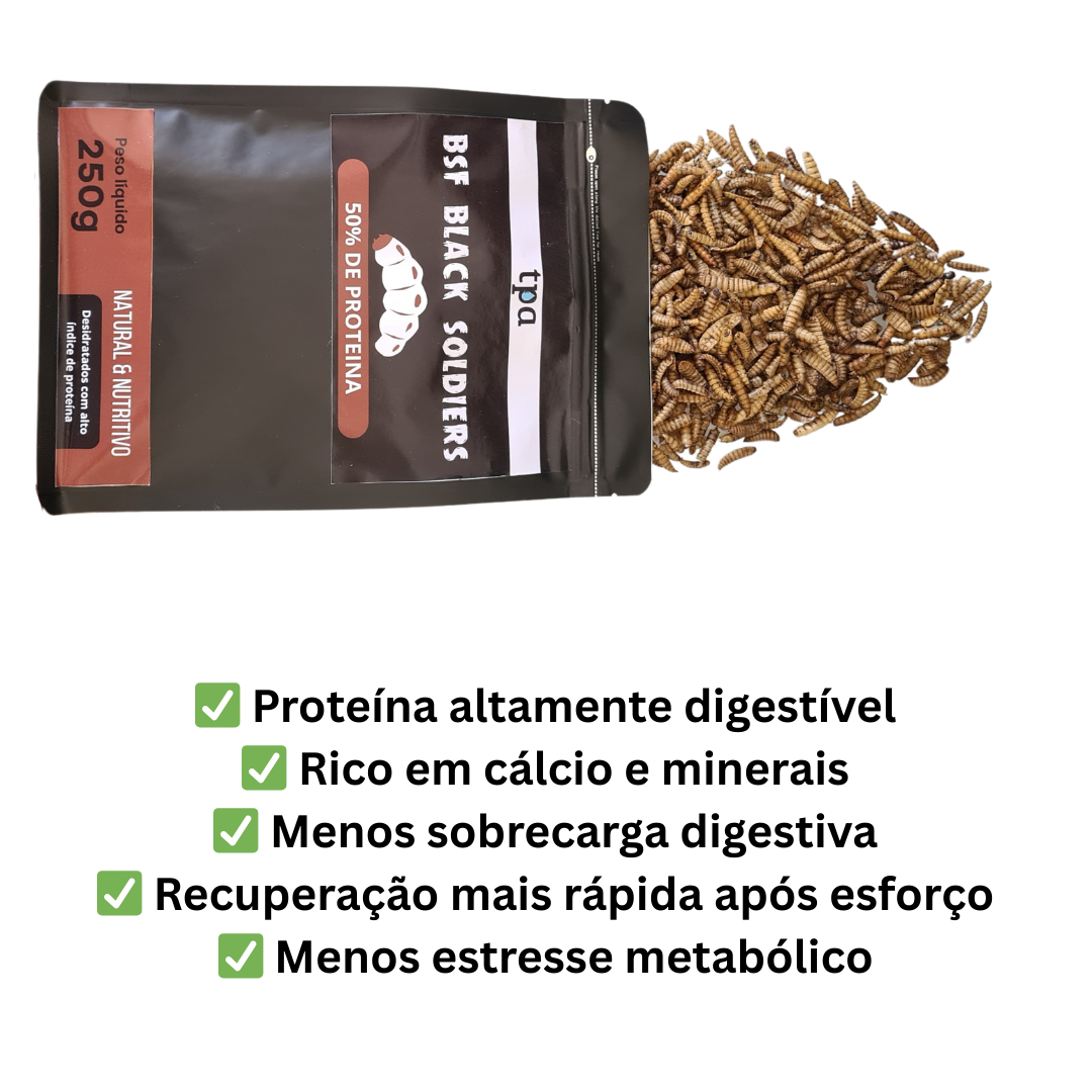 🪶 Protein Kit Aves