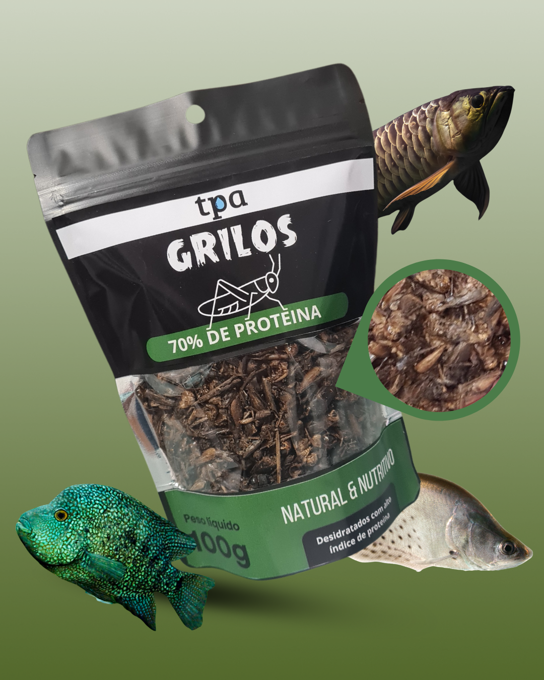 (BLACK) Grilos Desidratados - PROTEIN LINE