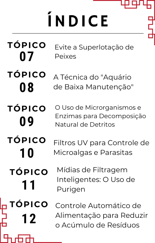 O segredo asiático