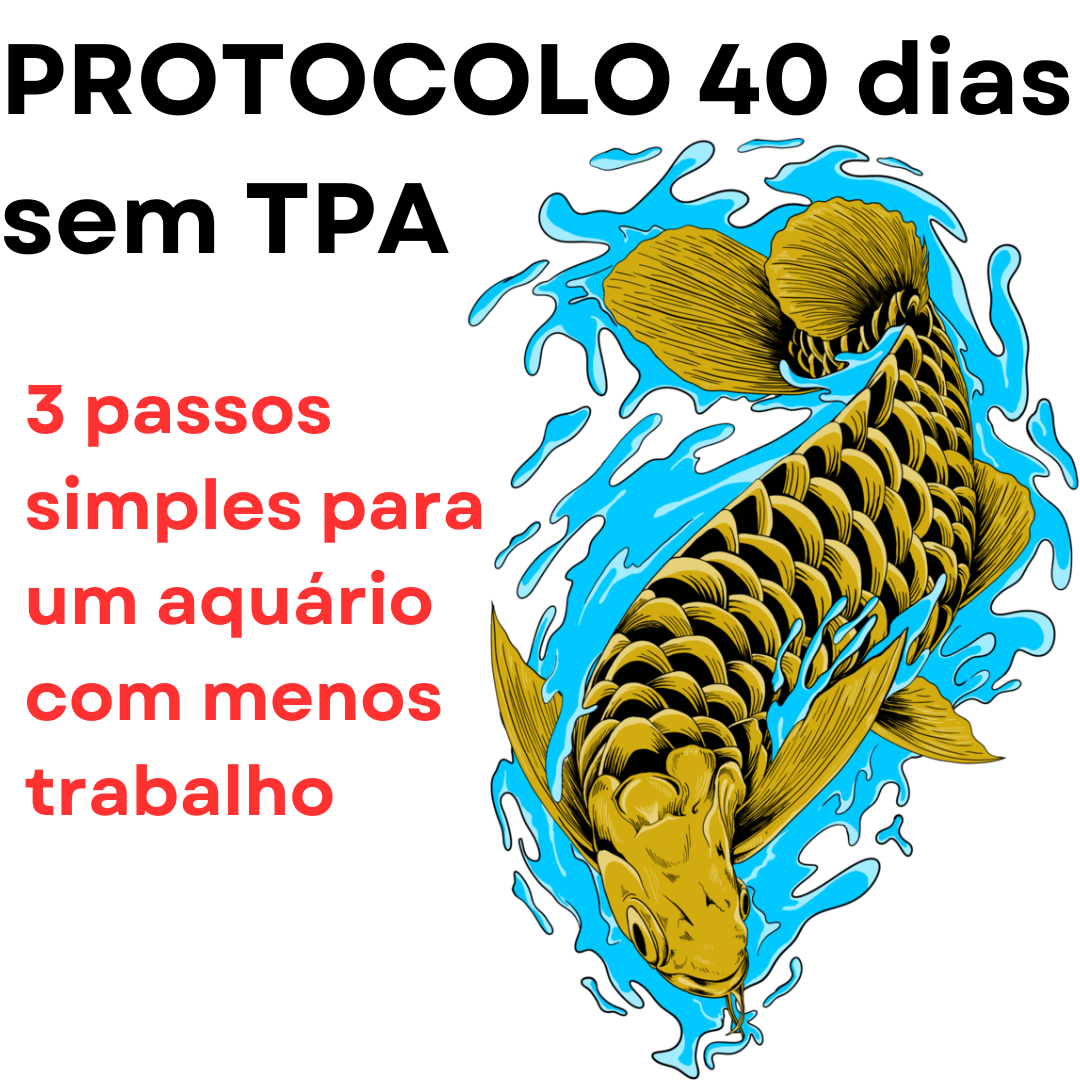 40 Dias Sem TPA! Conheça o Protocolo de 3 Passos que Vai Transformar Seu Aquário