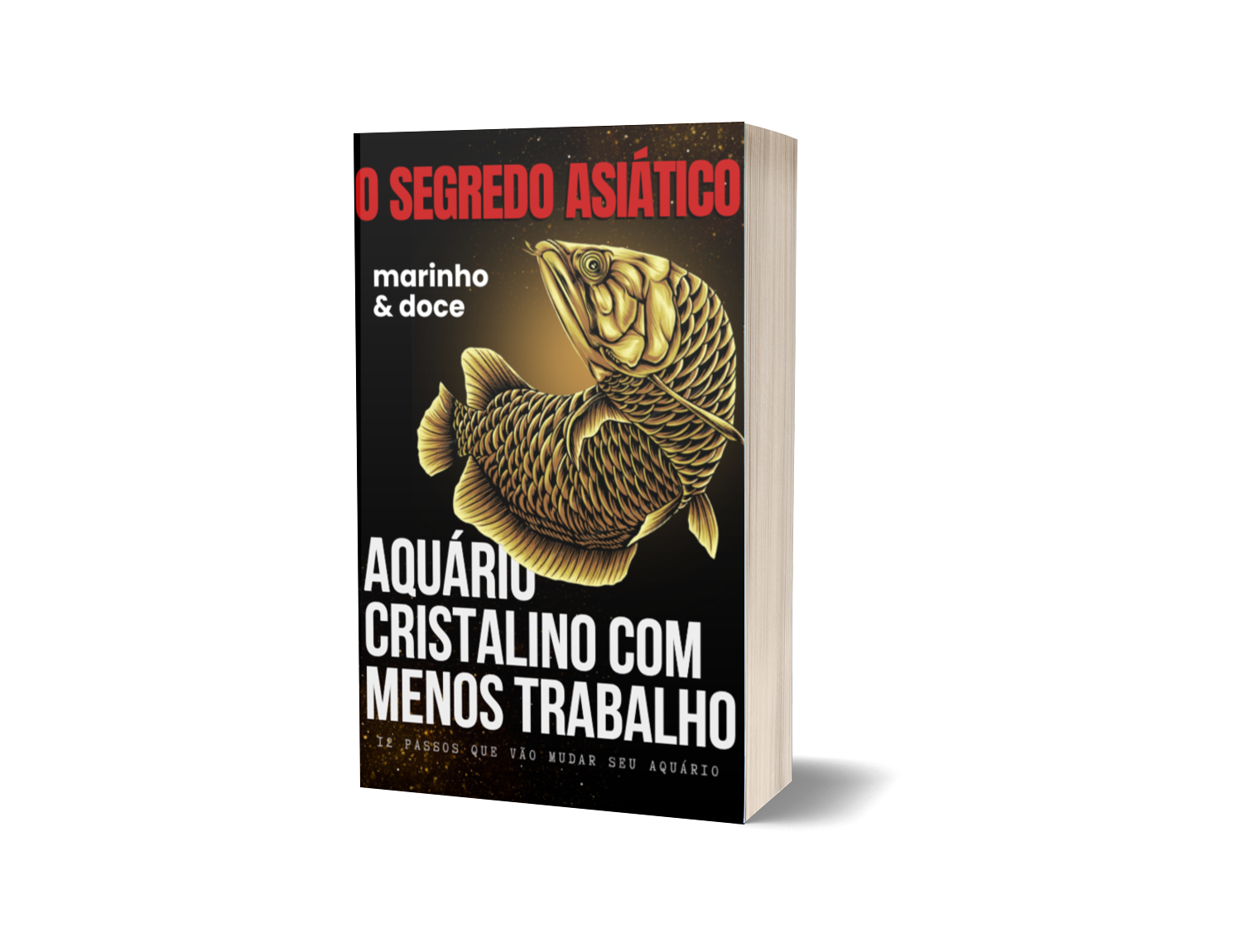 O segredo asiático