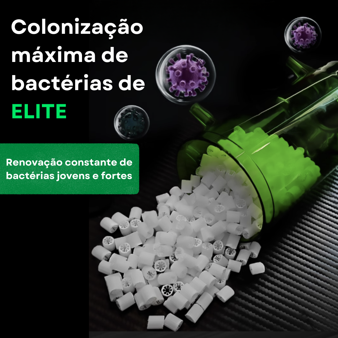 K1 ELITE