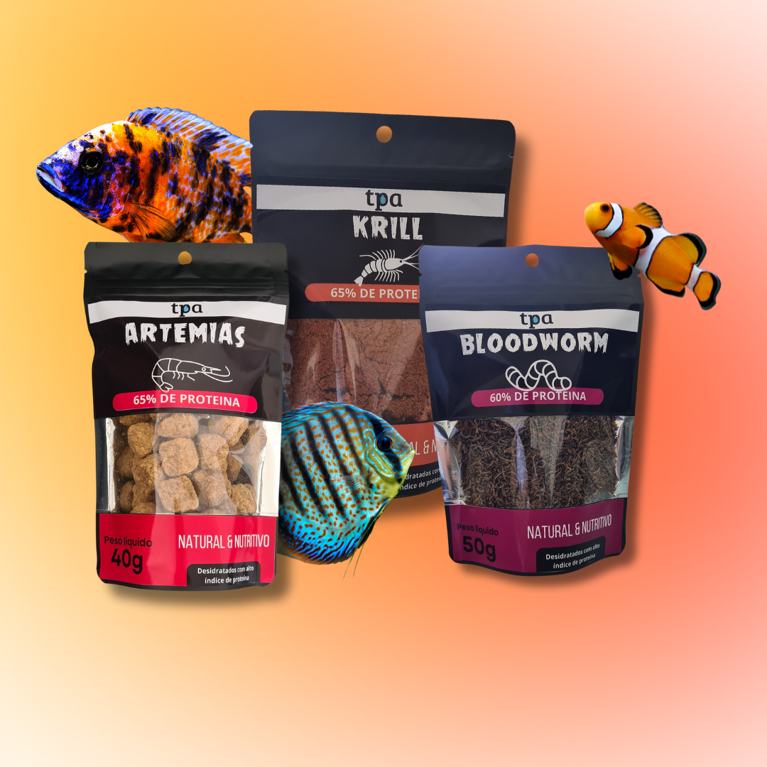COLORS KIT