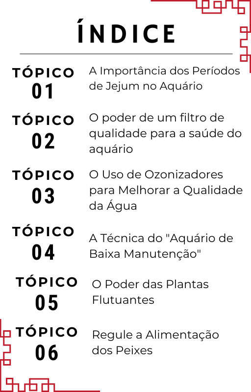 O segredo asiático