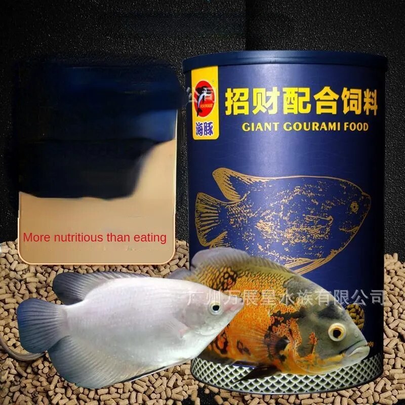 Ração importada gourami gigante