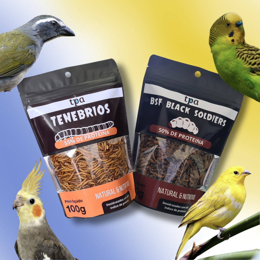 🪶 Protein Kit Aves