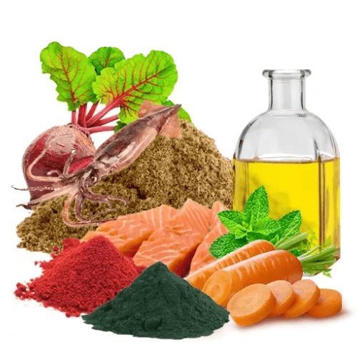 Ração Para Peixes Premium Poytara Ciclídeos Onívoros Bag 800g