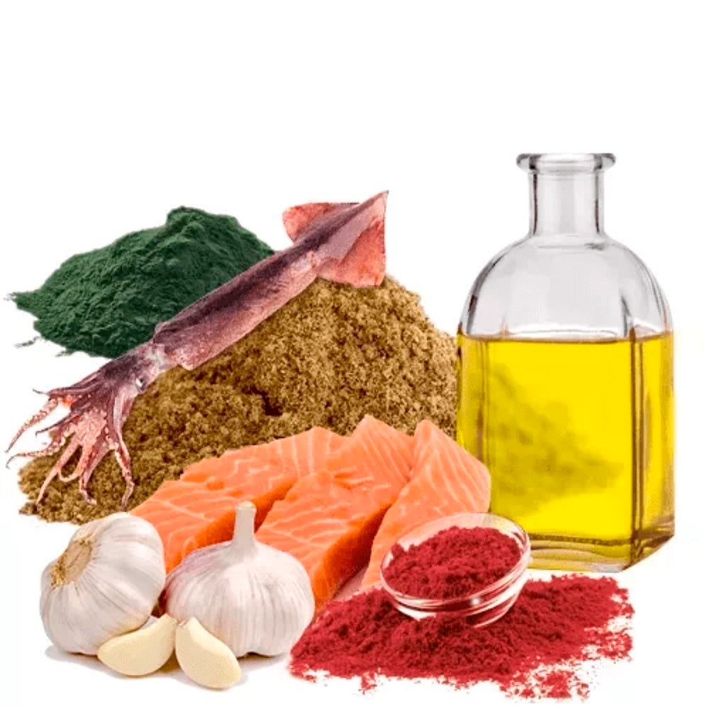 Ração Poytara Premium Carpa 6x1 3kg