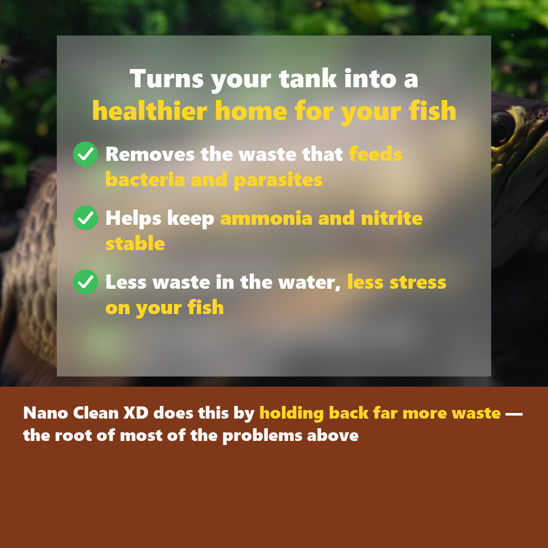 Nano Clean XD turns your tank into a healthier home for your fish